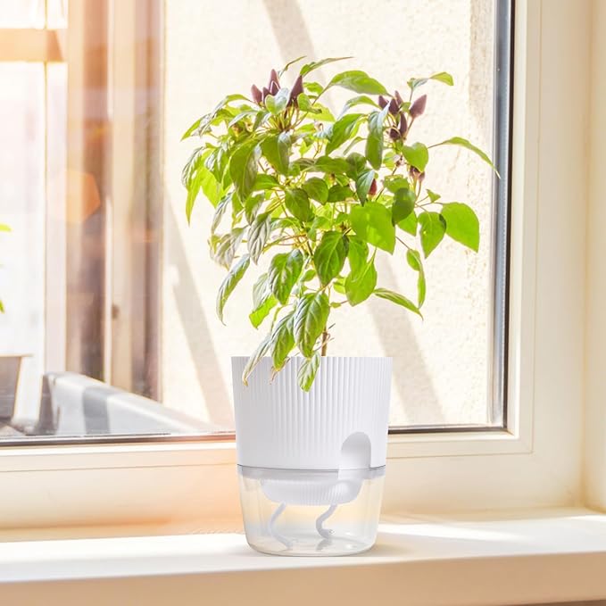 3 Pack - 5.5 Inch Self Watering Planter Pots for Indoor Plants - African Violet Pots with Wick Rope - White