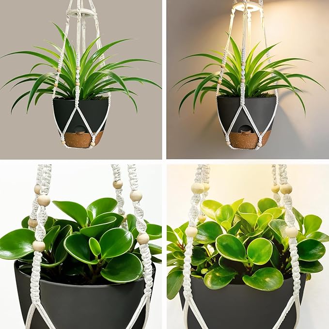Hanging Planters for Indoor Plants: 2 Pack Macrame Plant Hangers with Grow Lights and Self-Watering Pots, Large Hanging Pots with Drainage Holes & Removable Tray（10in Black Pot, Daylight Spectrum）