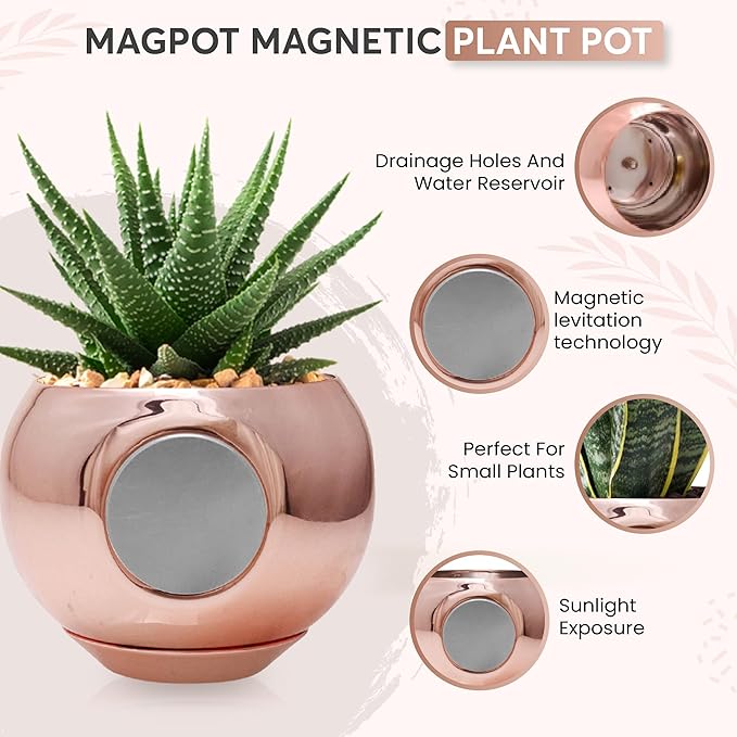 Magnetic Plant Pot - Unique Window Planter for Succulents, Indoor & Outdoor Greenery - Self-Adhesive Magnet Attachment, Drainage Holes, Detachable Reservoir - Rose Gold