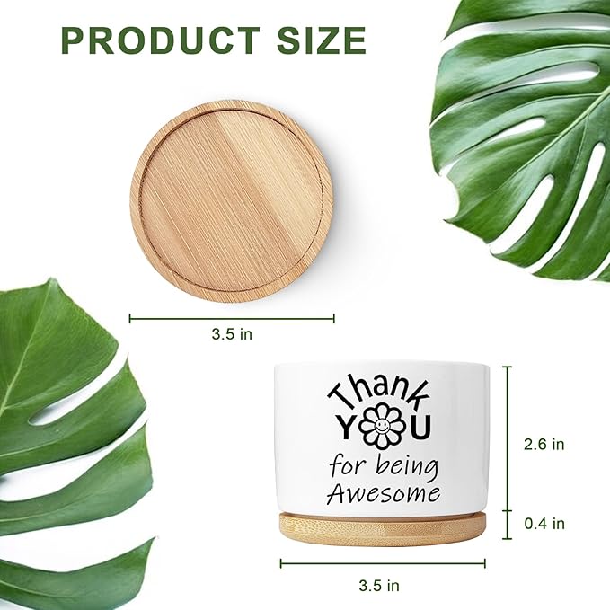 Thank You Gifts for Women, Succulent Planter, Flower Cactus Plant Pot, Employee Appreciation Gifts for Coworkers Nurse Friends Women, Thank You for Being Awesome (No Plants)