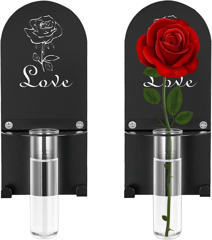 Wall Mount Glass Vase,Glass Plant Propagation Hanging Propagation Station Planters for Wall Decor,Clear Glass on Metal Base,Decorative Hanging Planter for Indoor Hydroponic Propagated Plant Holder(2)
