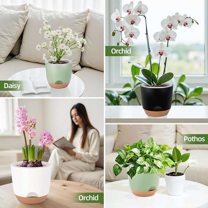 Sxueg Self Watering Orchid Pots for Indoor Plants,5.8 Inch Macetas para Orqudeas,Flower Pots for Indoor Plants with Holes(White)