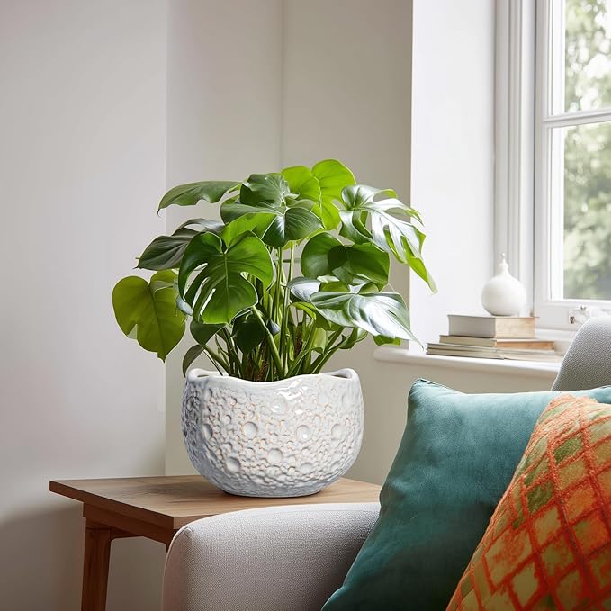 Ceramic Pots for Plants - 8 Inch Planters for Indoor Outdoor Plants, Modern Ceramic Flower Pots with Drainage Hole and Plug, Round Unique Plant Pot, Porch Office Decor, Garden Gifts, Grey