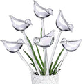 6 Small Handmade Bulbs PottedPlants Water Home Indoor-Outdoor GardenPatio Hanging Flower Spikes DecorationAutomatic Irrigation System (not Glass)