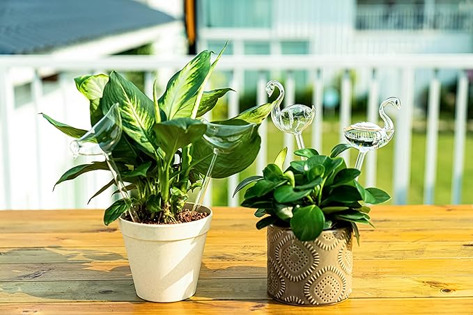 Kingbuy Self Watering Globes Plant Waterer Device Bird Shape Hand Blown Clear Glass Bulb for Indoor or Outdoor Plants, 4 Pack