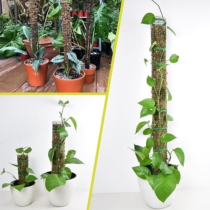 4 Pack Metal Moss Pole, 40" Moss Poles for Plants Monstera, Stackable Sphagnum Moss Pole for Plants Work with Sphagnum Moss(4 Pack 40")