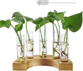 Plant Propagation Station with Wooden Stand, Glass Propagation Vase for Plants, Plant Terrarium Birthday Gifts for Women Mom Plants Lovers, Home Office Garden Decor, 5 Glass Tubes