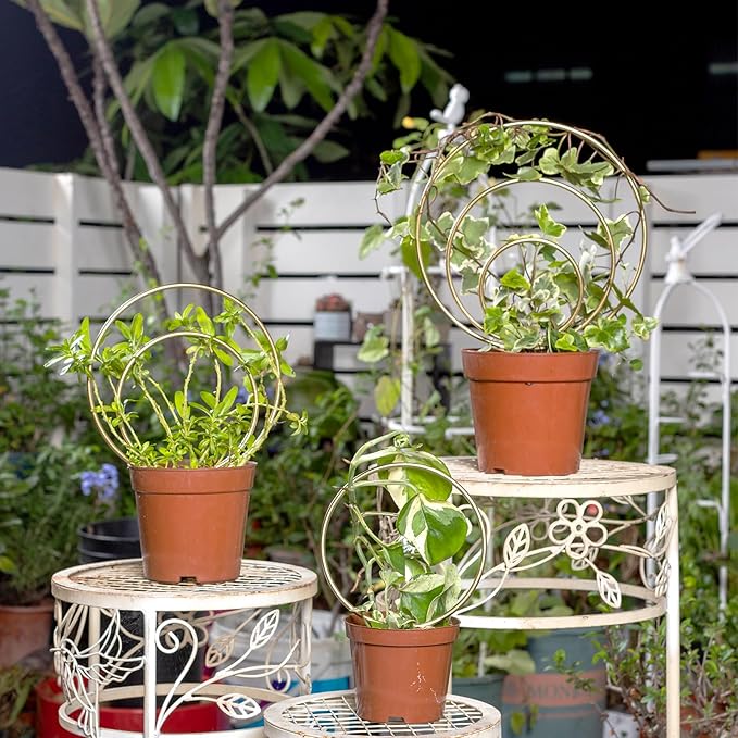 YOHSNOR Hoya Trellis for Indoor Plants - Set of 3 Stylish Metal Plant Supports for Climbing Houseplants - Durable Design for Small Potted Plants with Increased Height Support
