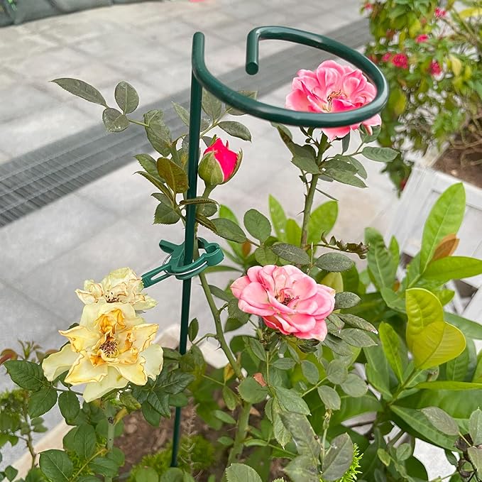 12 Pack 16 inch Plant Support Stakes, Metal Garden Support Stick Support Ring, Plant Sticks for Indoor Outdoor Single Stem Flower Peony, Orchid, Lily, Amaryllis, Rose, Tomato Pepper Plants Supports