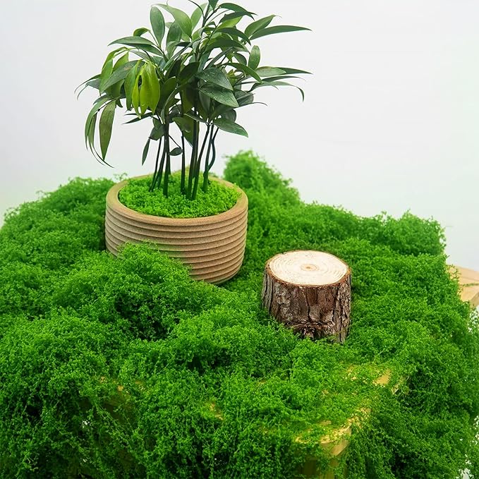 MGLIFEUL 12OZ Artificial Fake Moss for Crafts Plants Indoor with Non-Stick Gloves and Tweezers，Preserved Green Plant Faux Craft Moss Musgo for Fairy Garden Indoor Outdoor Home Decorating Model Making