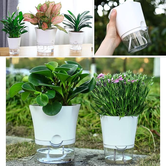 6-Pack 6" Clear Self Watering Pots for Indoor Plants Large Hexagon Self-Watering Planters Orchid Pots Plastic Wick Flower Plant Pots for African Violet, Spider, Herbs, Home Decor, White and Clear
