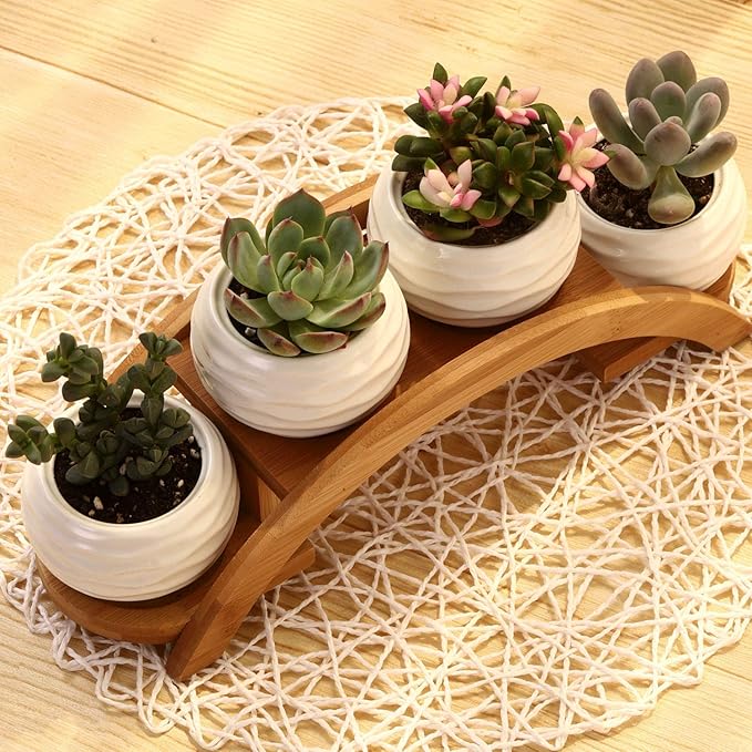 E-liu Succulent Pots and Stand Set, Ceramic White Succulent Planter Pot with Drainage, Pack of 4, Cute Office Garden Indoor Decoration, Plants Not Included