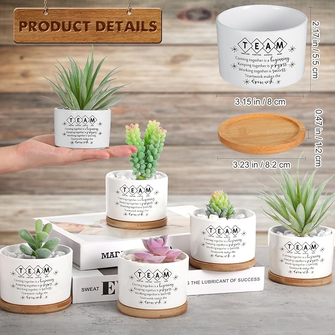 12 Pcs Employee Appreciation Inspirational Succulent Pots Gifts Bulk for Women Coworker Teacher Small Ceramic Plant Pots with Bamboo Trays for Office Staff Group Graduation(Team)