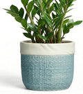 9.8 Inch Plant Pot - Ceramic Pots for Plants with Drainage Hole, Boho Plant Pots for Indoor Outdoor Plants, Decorative Round Planters, Porch Office Home Decor, Housewarming Gifts, Blue