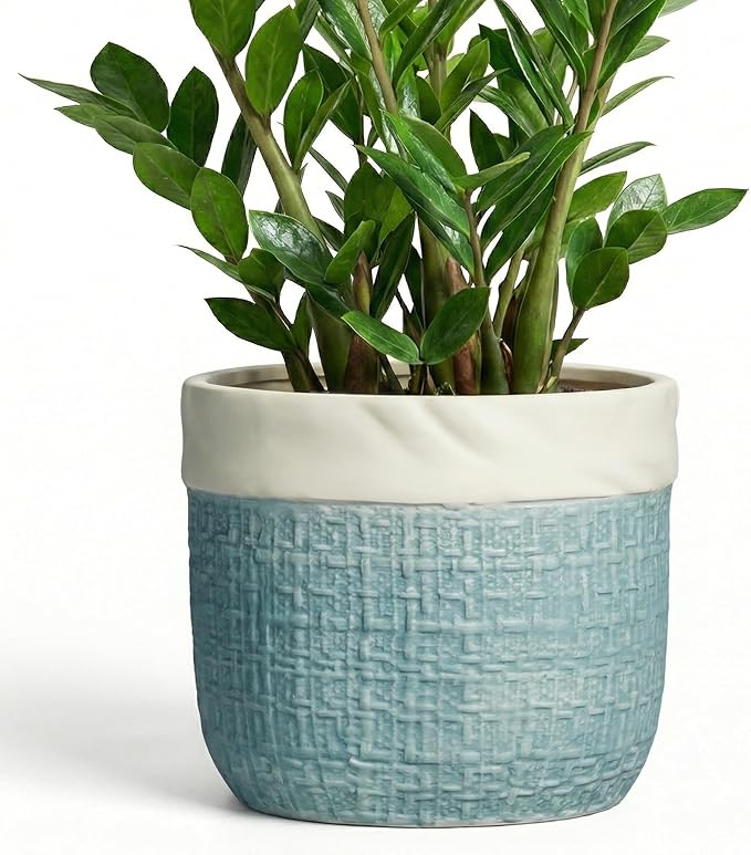 9.8 Inch Plant Pot - Ceramic Pots for Plants with Drainage Hole, Boho Plant Pots for Indoor Outdoor Plants, Decorative Round Planters, Porch Office Home Decor, Housewarming Gifts, Blue