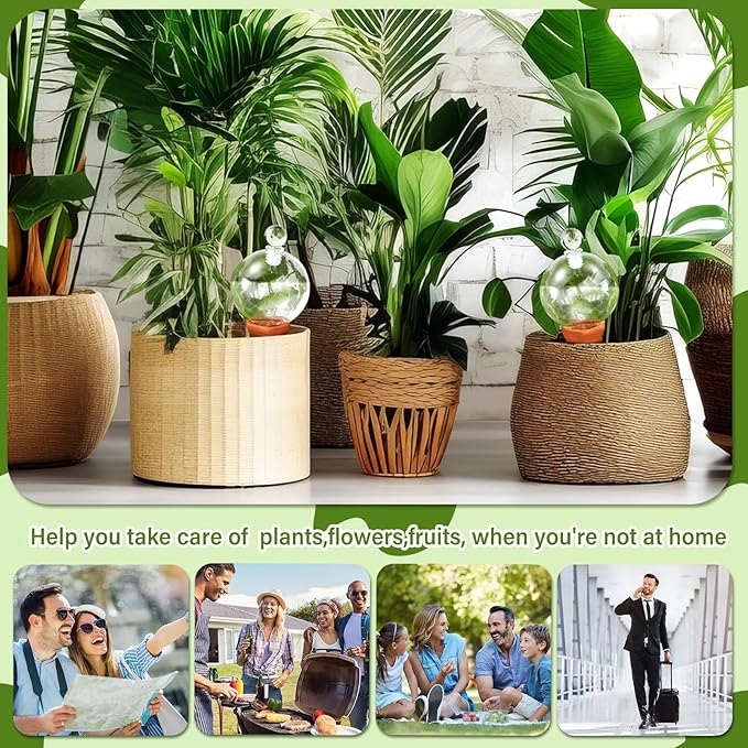 Teenyyou 3 Set Glass Self Watering Globes with Terracotta Self Watering Spike 12 oz Large Glass Waterer Bulbs Automatic Water Planter Insert Plant Water Device for Indoor Outdoor Plant(Clear,Classic)