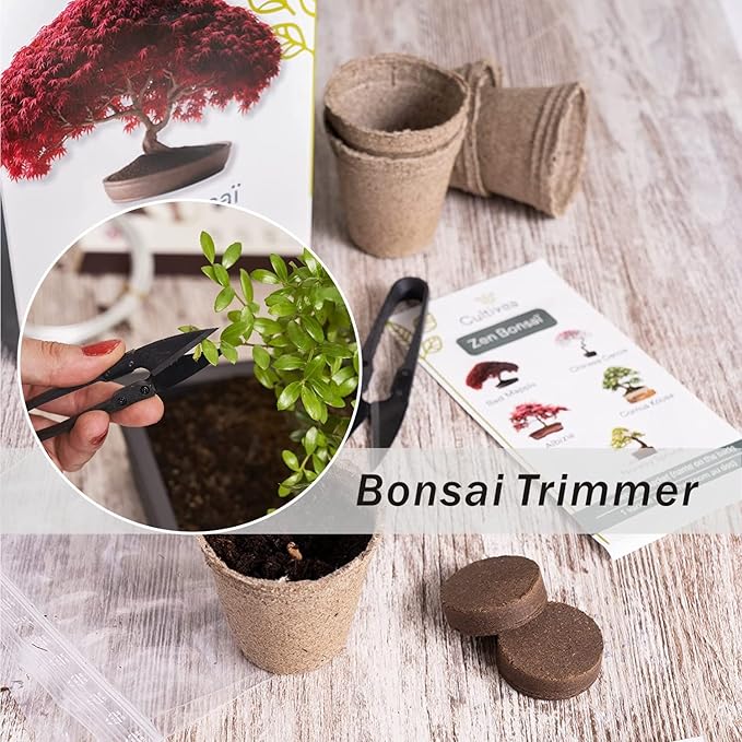 JINJIAN Bonsai Pruning Scissors 12PCS - Small Pruning Shears Bud Leaves Trimmer Garden Shears for Plants, Gardening Clippers for Flower Bonsai Trimming Pruners
