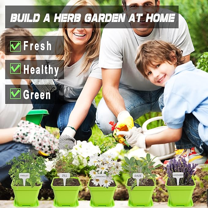 Meekear 10 Herb Seeds Garden Starter Grow Kit with Green Pots, Markers, Soil Discs, Watering, Herb Clipper, Complete Indoor Potted Plant Growing Set for Kitchen DIY