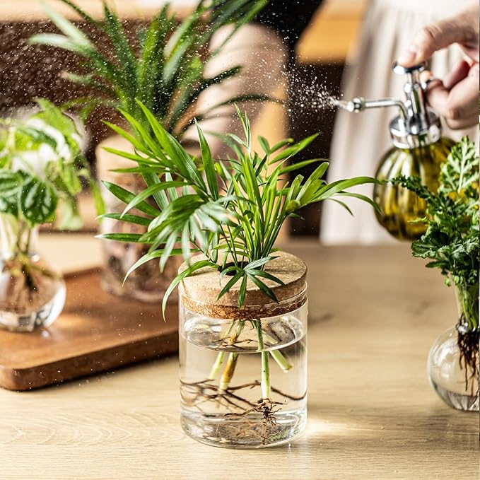 Plant Propagation Stations, 2 Style Glass Planter Terrariums, Propagation Vases for Plant, Plant Propagation Jars for Hydroponic Planter Home Office Tabletop Decoration (6)