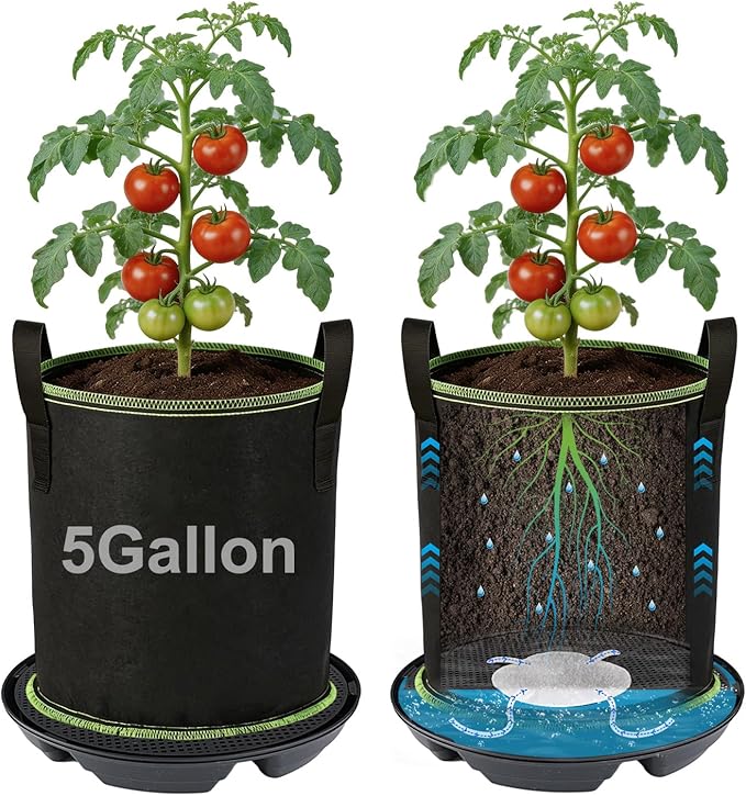 MADHOLLY Self Watering Pots for Indoor Plants with Grow Bags - 2 Pack 5 Gallon Thick Fabric Auto Irrigation Planter with Portable Handles, Water Storage Saucer, for Outdoor Vegetables, Herbs, Flower