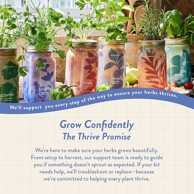 Modern Sprout Mason Garden Jar - Self-Watering Hydroponics Growing System Kit with Organic Herb Seeds - Jar Planter for Indoor Herb Garden - Seed Starter Kit - Home Decor & Gifting - Mint