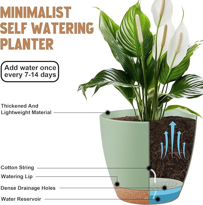 QRRICA Plant Pots 8/7/6.5/6/5.5/5 Inch Self Watering Pots, Set of 6 Plastic Planters with Drainage Holes and Saucers,Plastic Flower Pots,Nursery Planting Pot for Indoor Out Door Plants（Green）