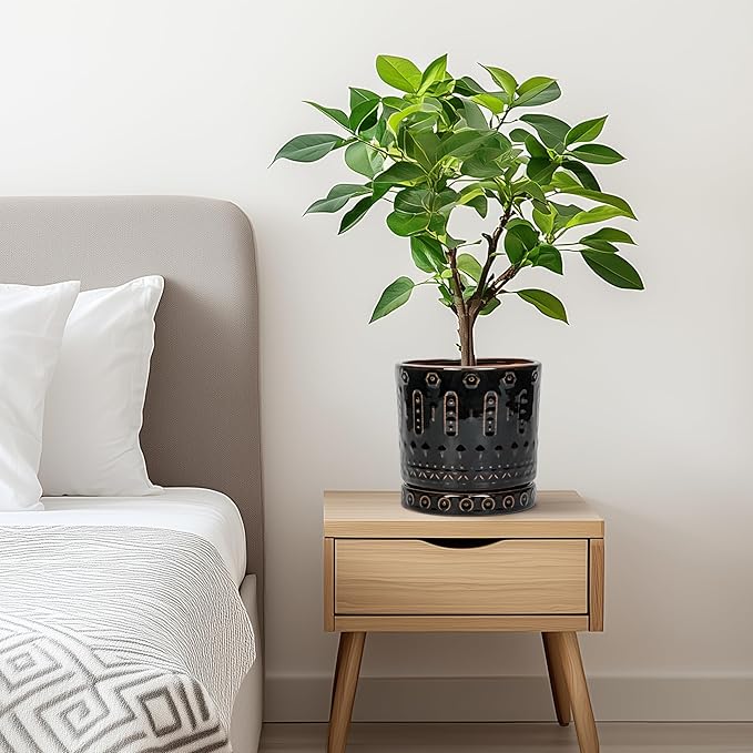 Eightpot Ceramic Plant Pots - 6 Inch Ceramic Planter for Indoor Outdoor, Round Flower Pots with Drainage Hole and Plant Saucer, Boho Decorative Small Planter, House Decor, Gifts for Gardeners, Black