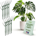 Twigs GA - Stackable Plant Support Stakes, Indoor & Outdoor Houseplant Stem Support, Garden Accessories, Trellis Alternative for Climbing & Potted Plants - Monstera (Dark Green), 10 Pack, 17" L