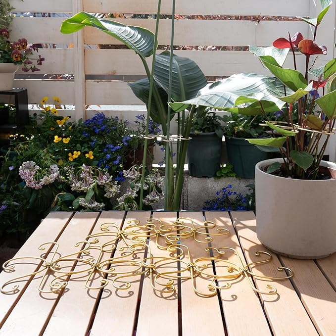 YOHSNOR Durable Monstera Plant Support Hooks 5.5in - 5-Piece Set for Indoor Plant Stabilization, Easy-to-Use Grapple Holders for Monstera and Turtle Shell Plants for Plant Lovers