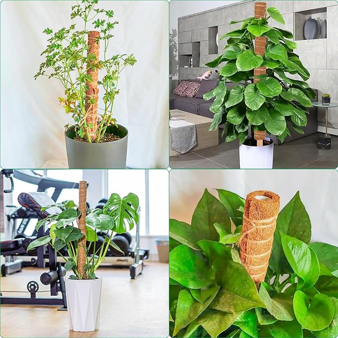 4 Pcs Moss Pole Monstera Plant Support, 15.75" Plant Support Stakes for Indoor Plants, Stackable Moss Poles Sticks Plant Poles for Climbing Plants Garden Potted Plants Pothos + Accessories