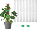 EOX 8 Pcs 24 Inch Plastic Moss Pole for Monstera, Large D Shaped Poles for Climbing Plants Work with Sphagnum Moss, Garden Ties
