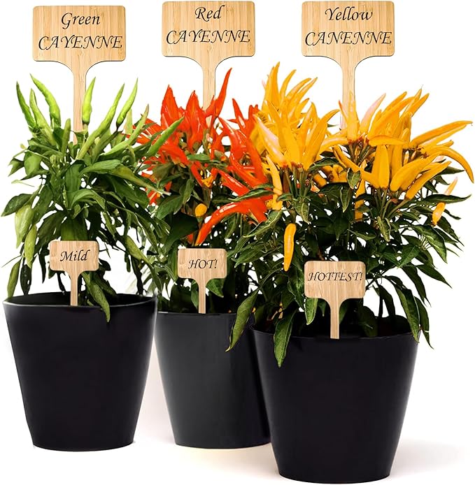 10 Pack 8 Inch Large Garden Markers – Plant Labels, Plant Name Tags – Easy to See & Read
