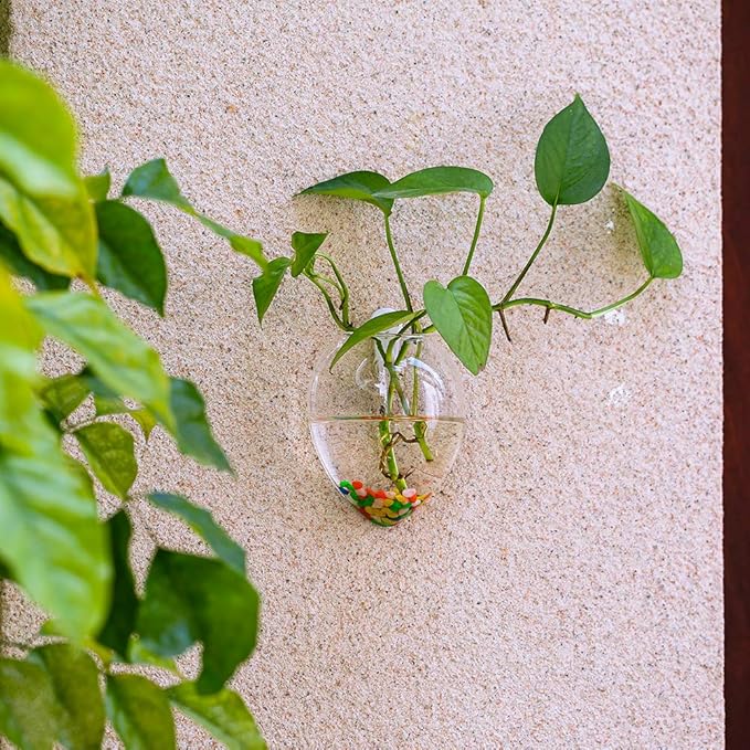 NUPTIO Hanging Planter Wall Terrarium: Glass Plant Holder 4 PCS Water Planting Vases Succulents Container Hydroponics Pots Clear Propagation Station Airplant Display for Office Home Living Room Gifts