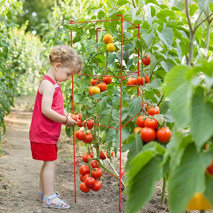 Thealyn Tomato Cages 6 Packs 46 Inch (H) Plant Stand with 164 Feet Twist Ties, Heavy Duty Garden Plants Support for Tomatoes, Cucumber, and Other Climbing Plants (Red)