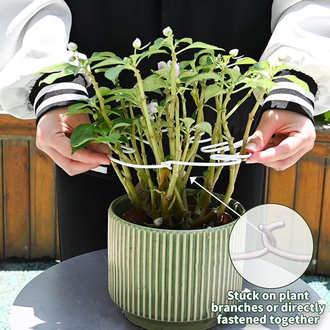 Yohsnor White Monstera Plant Stem Support - 5PCS 7.3x6.25in Durable Adjustable Garden Stake for Indoor Plants, Fishbone Cactus Holder, Innovative Leaf Clip Set, Ideal Tool for Healthy Plant Growth