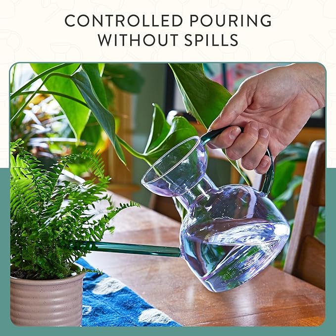 Modern Sprout Plant Watering Can - Handcrafted from Borosilicate Glass - Long Spout Vessel for Indoor Plants - 32 Oz Capacity - Multipurpose Watering Can & Flower Vase for Houseplants (Purple/Emerald)