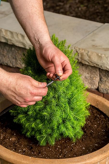 Rain Bird POTTEDKIT Drip Irrigation Container/Potted Plant Watering Kit, Connects to Faucet/Garden Hose, 1/4" Drip Tubing, 360° Micro Bubblers, T-Fittings and Pressure Regulator