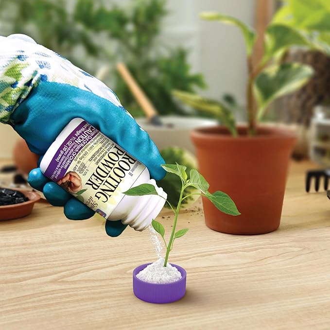 Bonide Bontone II Rooting Powder, 1.25 oz Ready-to-Use Dust for Houseplants and Transplants Speeds Root Development (Pack of 2)