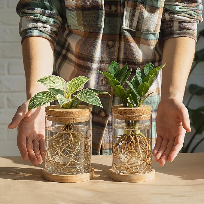 6 Pack Glass Plant Propagation Stations Hydroponic Vases with Wooden Saucer Small Glass Jar Planters Plant Station Bud Vases for Desks Home Garden Office Decorations