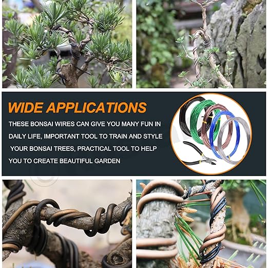 6Pcs 5 Colors Bonsai Training Wire with Wire Cutter Kit, Anodized Aluminum Bonsai Wire Tools for Holding Bonsai Plant Branches Small Trunks - 82 Feet 0.8MM 1.0MM 1.5MM 2.0MM 3.0MM