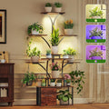 63" Plant Stand Indoor with Grow Lights, 10 Tiered Plant Shelf with Drawer, Corner Plant Stands for Indoor Plants, Metal Plant Flower Display Shelf, Tree-Shaped Plant Rack for Home, Black (2, Black)