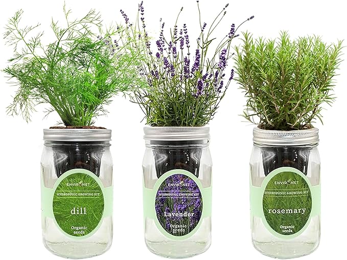 Hydroponic Herb Growing Kit Set, Self-Watering Mason Jar Herb Garden Starter Kit Indoor, New Christmas Gift for Mom (Dill, Lavender & Rosemary)