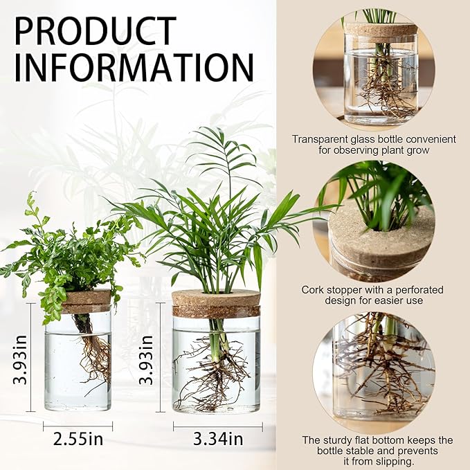 Plant Propagation Stations for Plants, 2 Size Glass Propagation Vases for Propagating Hydroponic Indoor Home Office Decor, Tabletop Glass Planter Gift for Plant Lovers (6)