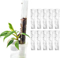 THICCLY V3 GrowPole Small 10 Pcs - Front Opening Plastic Moss Poles for Climbing Plants, D-Shaped Moss Pole for Monstera Plant Support Plant Climbing Pole, Plastic Plant Pole Support for Philodendron