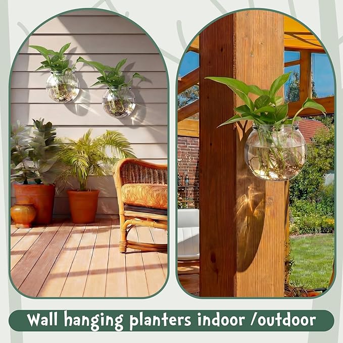 Baderke 6 Sets of Plastic Wall Planters for Indoor Plants Plant Propagation Station Hanging Planter Propagation Vases with Flower Pot Holder Ring for Artificial Wall Plants Indoor Outdoor Decor