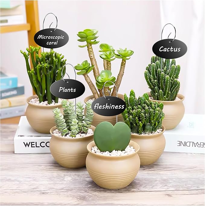 Vcekract Plant Labels, 25 Pcs Acrylic Garden Labels Stakes with Pen, Plant Markers for Outdoor Garden, Plant Tags for Potted Plants, Seed, Flowers