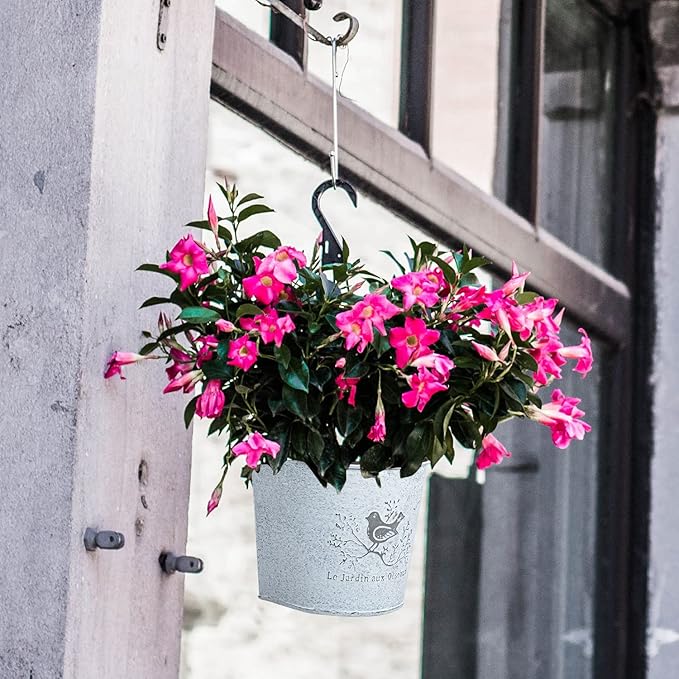 XONOR 4Pcs Galvanized Metal Wall Planter- Wall Hanging Bucket Vintage Rustic Flowers Vase Planter Holder with Rope for Home Wall Decor or Plants Flowers Growing (5.5'')
