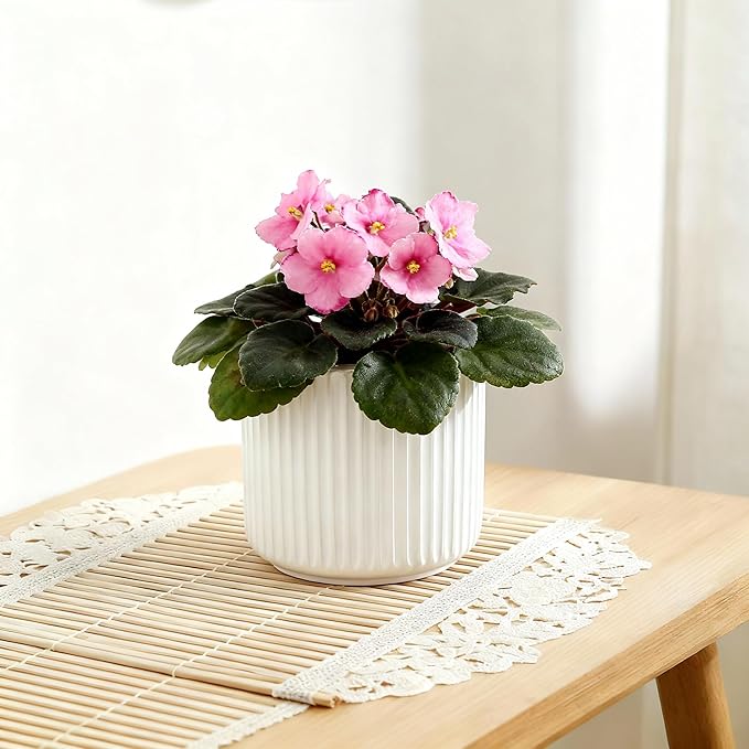 2 Pack of 4in Ceramic Cachepot with 4 inch Clear nusery Pot - self Watering Indoor Planter with Drainage for Root Visibility,semi Hydro pots for repotting Succulent,White