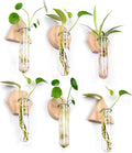 MITIME Wall Hanging Planter Glass Plant Propagation Station,Geometric Wooden Stand for Home Office Decoration.