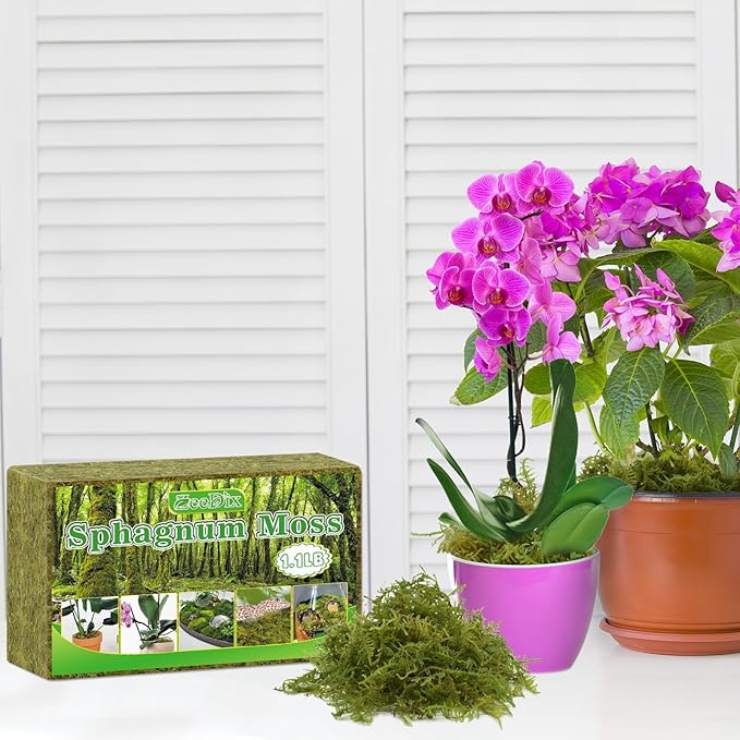 ZeeDix 3-Pack Premium Sphagnum Moss - 3.3 lb Orchid Moss Plant Growing Medium for Terrariums, Orchids, Carnivorous, Succulents & Reptile Habitat Substrate